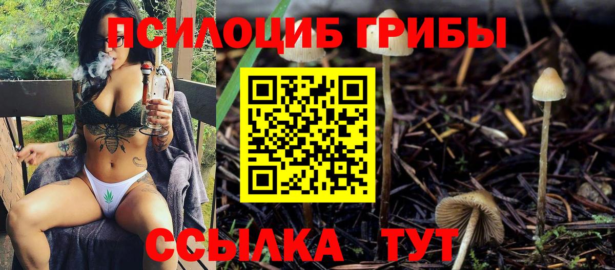 Галлюциногенные грибы Psilocybine cubensis  Вход с VPN  дарнет шоп  Тайшет 