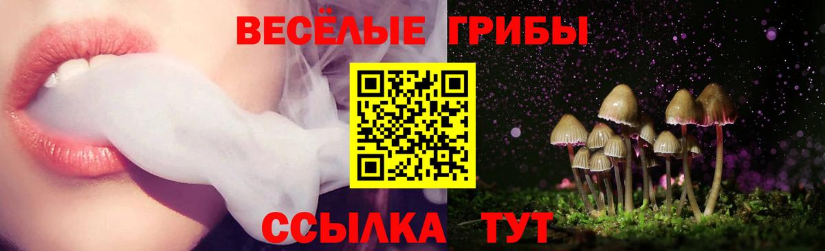 Галлюциногенные грибы Psilocybine cubensis Тайшет